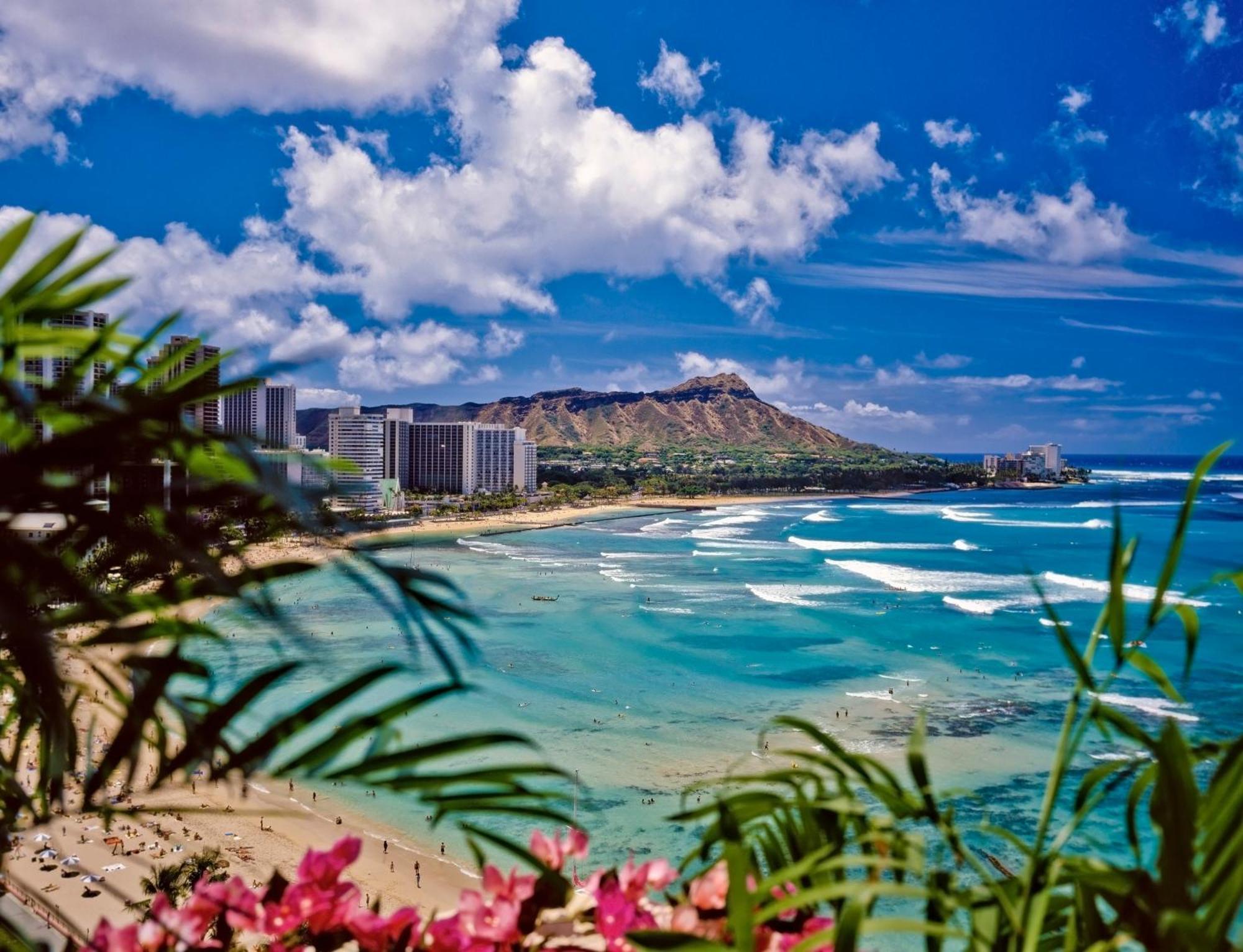 Mountain View Condo W/ King-Size Bed, Free Parking Honolulu Kültér fotó