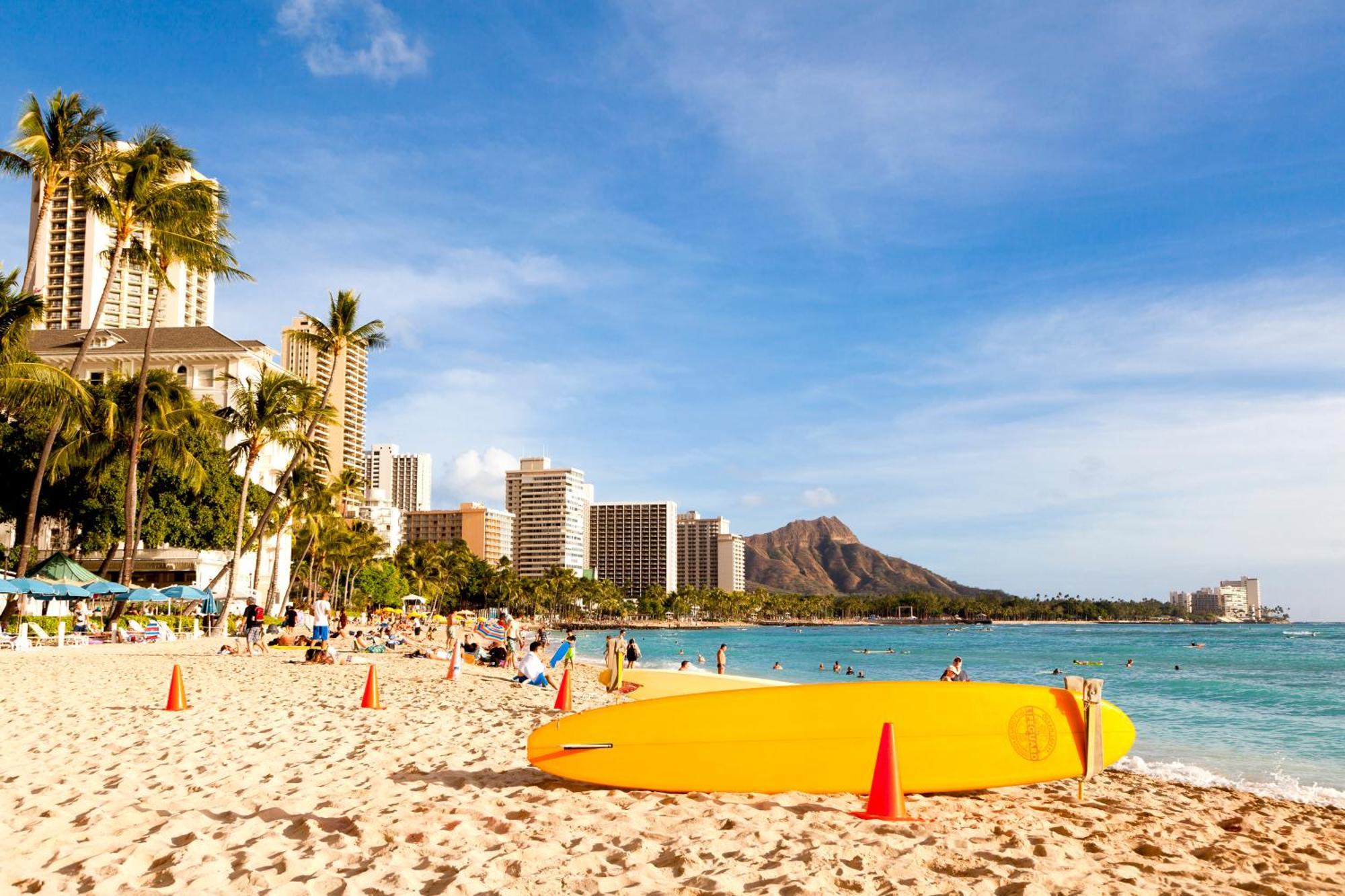 Mountain View Condo W/ King-Size Bed, Free Parking Honolulu Kültér fotó