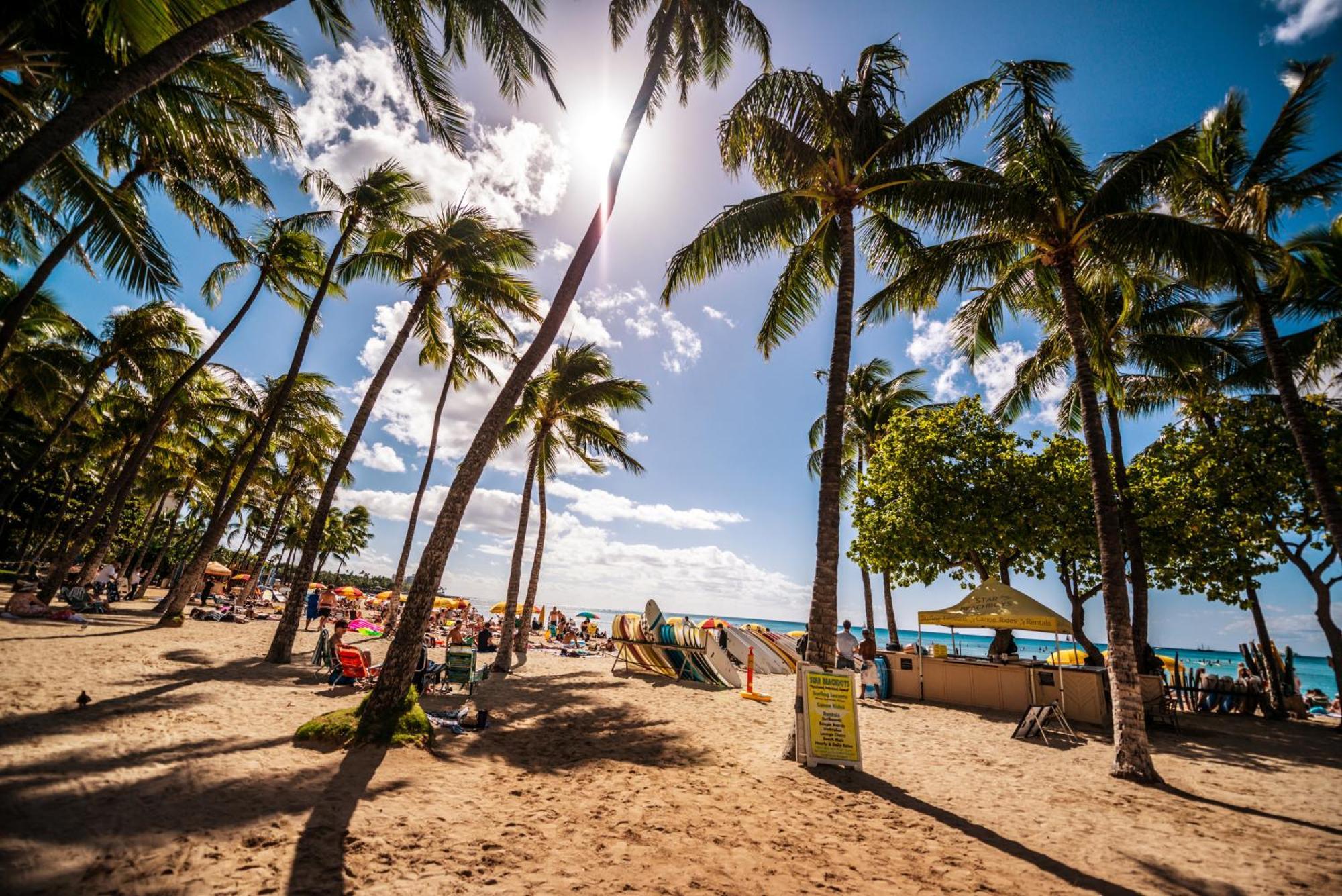 Mountain View Condo W/ King-Size Bed, Free Parking Honolulu Kültér fotó